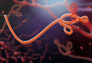 Ölümcül Virüsler-1 Ebola 